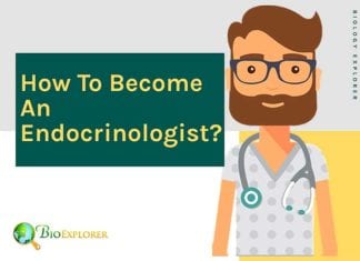 How to become an endocrinologist?