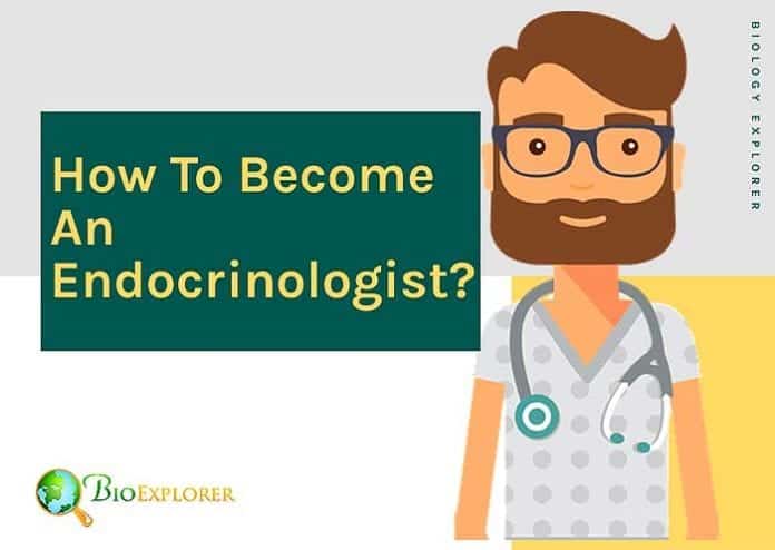 How to become an endocrinologist?