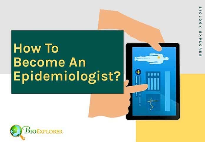 How to become an epidemiologist?