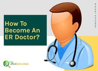 How to become an ER doctor?