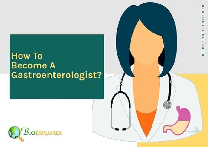 How to become a gastroenterologist?