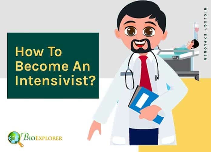 How to become an intensivist?