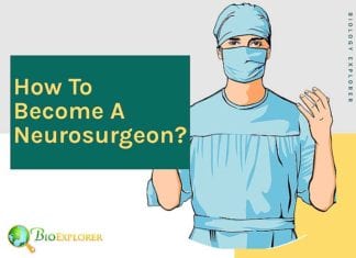 How to become a neurosurgeon