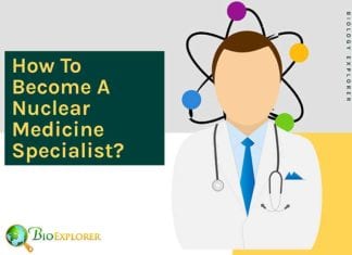 How to become a nuclear medicine specialist?