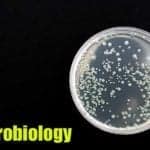 Microbiology