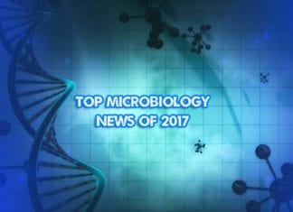 Microbiology News In 2017