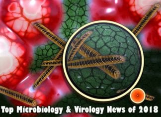 microbiology news in 2018