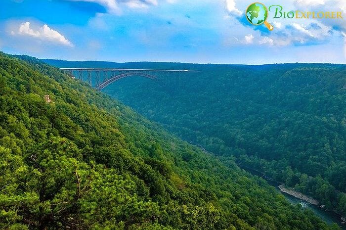 Natural Habitats In West Virginia