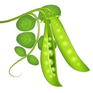 Peas