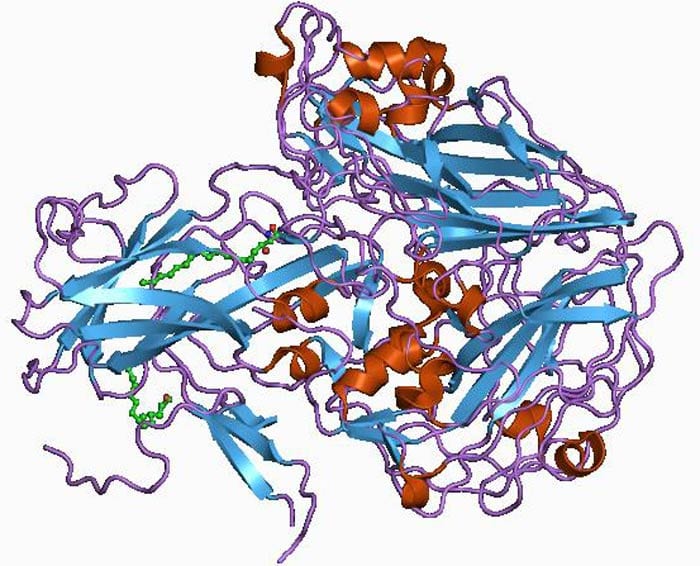 Poliovirus Structure