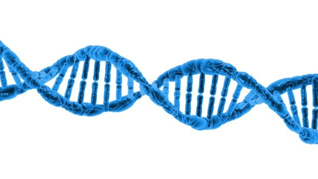 protein domains