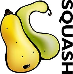 Squash