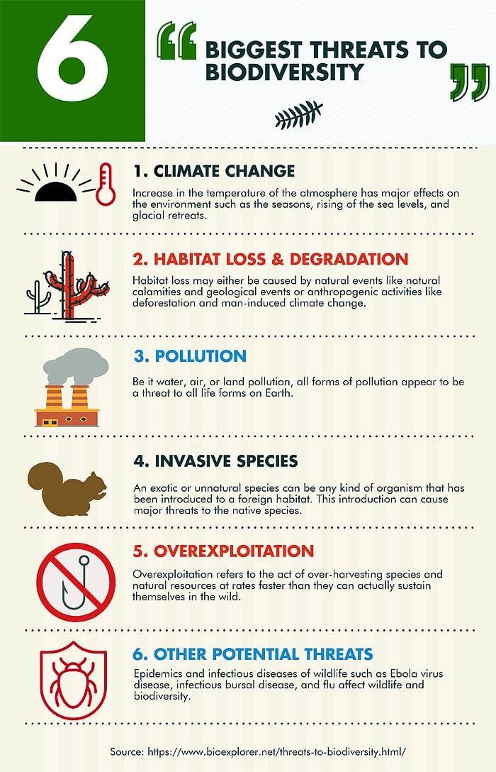 Threats To Biodiversity Infographics