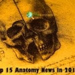 Top Anatomy News In 2019