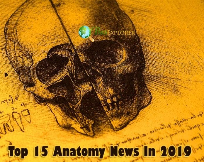 Top Anatomy News In 2019