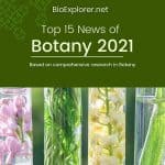 top botany news of 2021