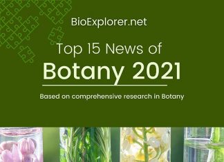 top botany news of 2021