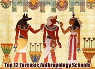 Forensic Anthropology Schools