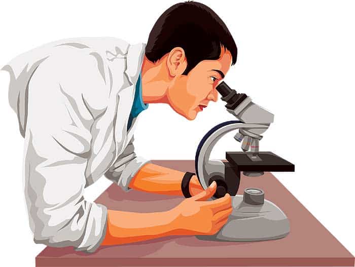 Types of pathologist