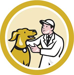 Veterinarian (An overview)