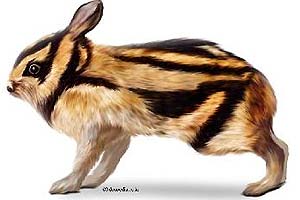 what do annamite striped rabbits eat?