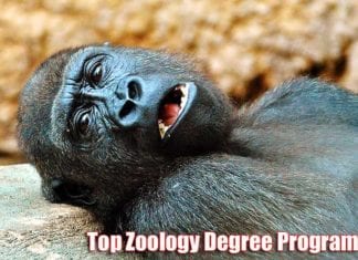 Zoology Degree Programs